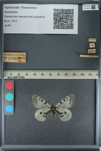 Media type: image;   Entomology 180054
